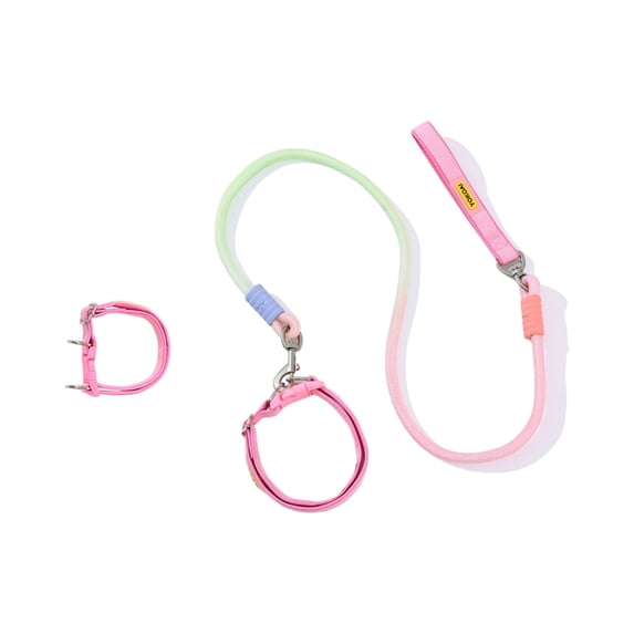 Small Dog Collar and Leash Set | Gradient Nylon Dog Leash for Small Dogs | Quick Release Walking Gear for Puppies and Small Breeds