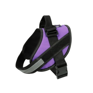 Small Dog Electric Shock Collar Suitable For 5-15 Pound Small And Medium-Sized Dogs, Remote Small Dog Training Collar, Waterproof Collar