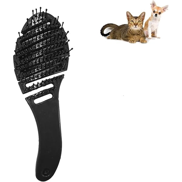 Image showcasing 3 Ways to Groom Maltese Dogs - wikiHow