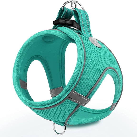 Small Dog Harness, Breathable Mesh Step-in Vest, Reflective Soft Padded Harnesses Small Sized Dog for Walking, Teal, S