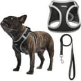 Small Dog Harness with Leash Set, No Escape Easy Walk Puppy Harnesses for Training Walking, Step