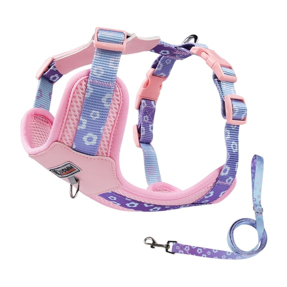 Small Dog Harness with Leash Set, Walk Puppy Harnesses for Training Walking, Step-in Reflective Soft Dogs Vest for XS S Medium Extra-Small Large Sized Dog B Size:XS