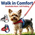 thumbnail image 1 of Small Dog Harness, No Pull Dog Harness, Quick Fit & Lightweight Adjustable Harness, Easy for Training Walking for Small & Medium Dogs _ Red _ S, 1 of 6