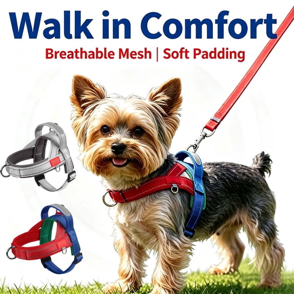 Small Dog Harness, No Pull Dog Harness, Quick Fit & Lightweight Adjustable Harness, Easy for Training Walking for Small & Medium Dogs _ Red _ S