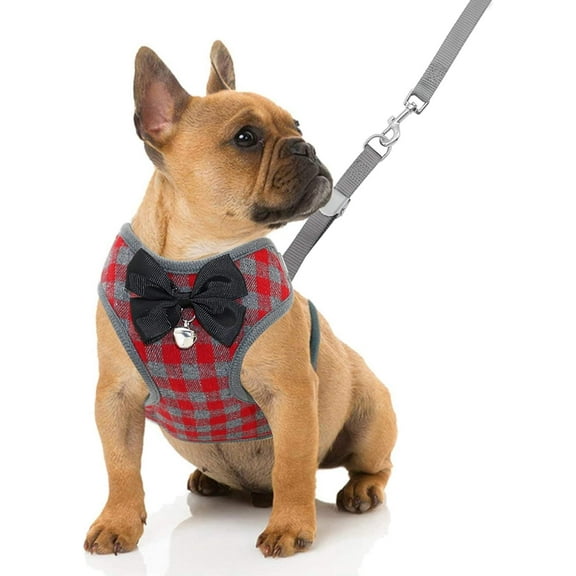 Small Dog Harness and Leash Set - No Pull Pet Harness with Soft Mesh Nylon Vest for Small Dogs and Cats