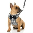 thumbnail image 1 of Small Dog Harness and Leash Set - No Pull Pet Harness with Soft Mesh Nylon Vest for Small Dogs and Cats, 1 of 6