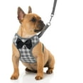 thumbnail image 1 of Small Dog Harness and Leash Set - No Pull Pet Harness with Soft Mesh Nylon Vest for Small Dogs and Cats, 1 of 7