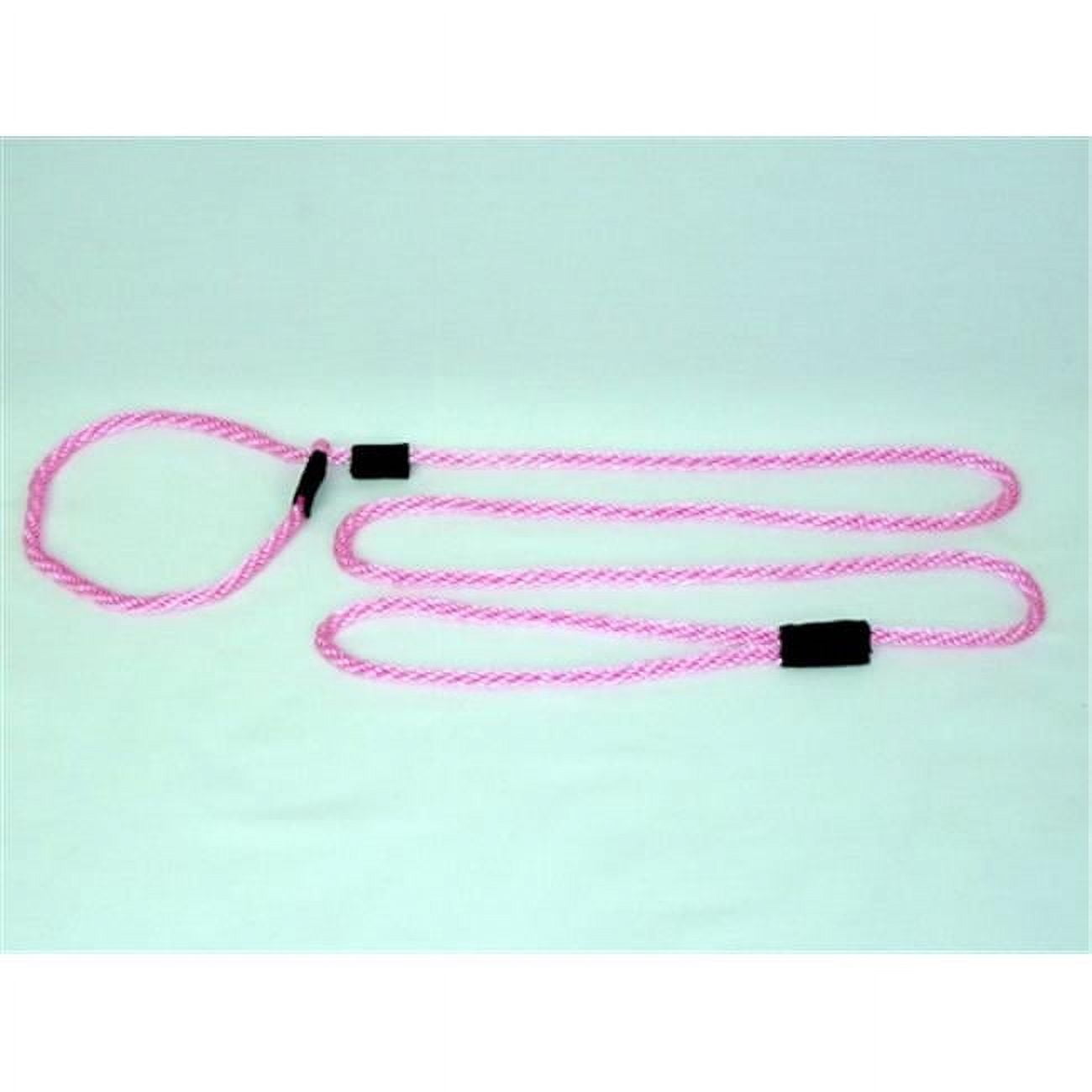 Small Dog Slip Leash 0.25 In. Diameter By 6 Ft. - Hot Pink
