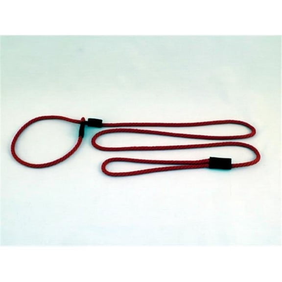 Small Dog Slip Leash 0.25 In. Diameter By 6 Ft. - Red