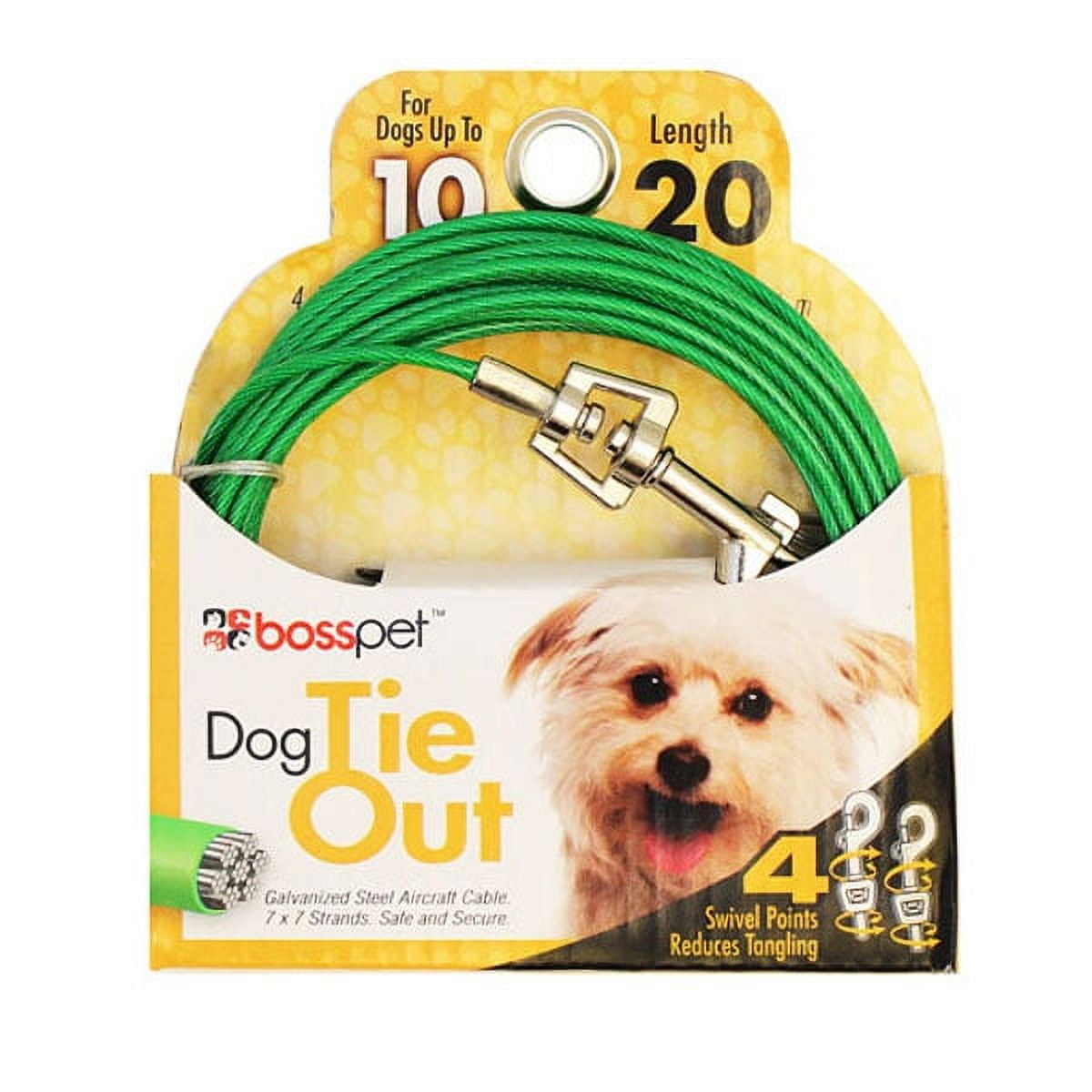 Dog outdoor hotsell tie out