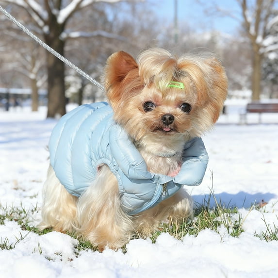 Small Dog Winter Coat Two-Legged Down Jacket Windproof Padded Vest Blue Pink Black M-L-XL Warm Cotton Zipper Outdoor Pet Clothes