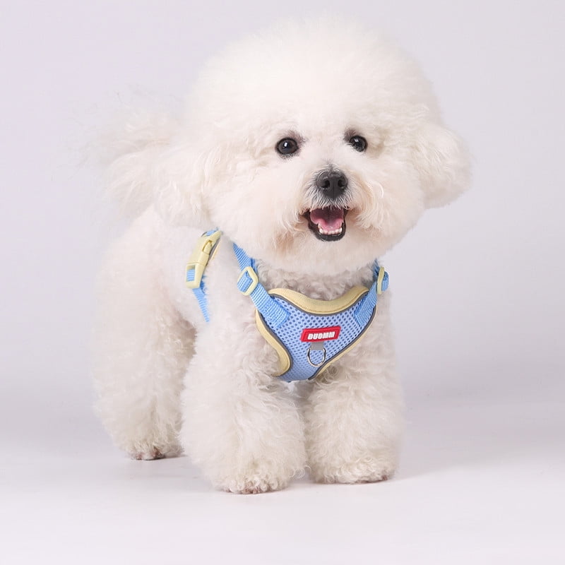 Small Dog and Cat&nbsp;Vest Harness Leash Set,Soft Breathable Mesh Adjustable Jacket&nbsp;for Puppy Fat Cat Outdoor Walking,with Reflective Strip