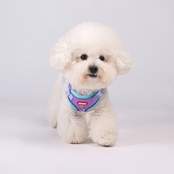 Small Dog and Cat&nbsp;Vest Harness Leash Set,Soft Breathable Mesh Adjustable Jacket&nbsp;for Puppy Fat Cat Outdoor Walking,with Reflective Strip