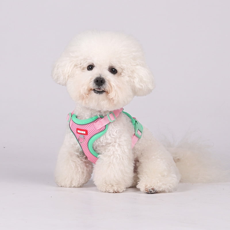 Small Dog and Cat&nbsp;Vest Harness Leash Set,Soft Breathable Mesh Adjustable Jacket&nbsp;for Puppy Fat Cat Outdoor Walking,with Reflective Strip