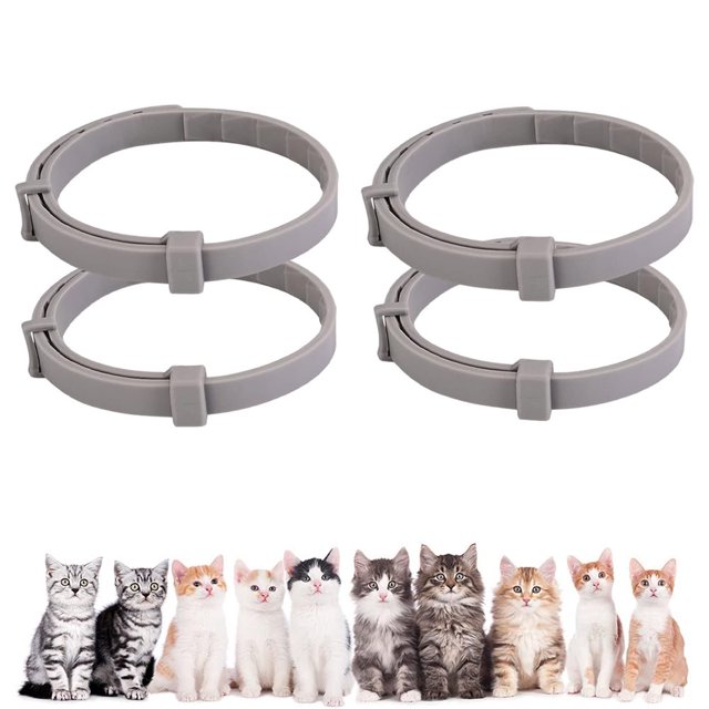 Small Dog or Cats Flea & Tick Treatment & Prevention