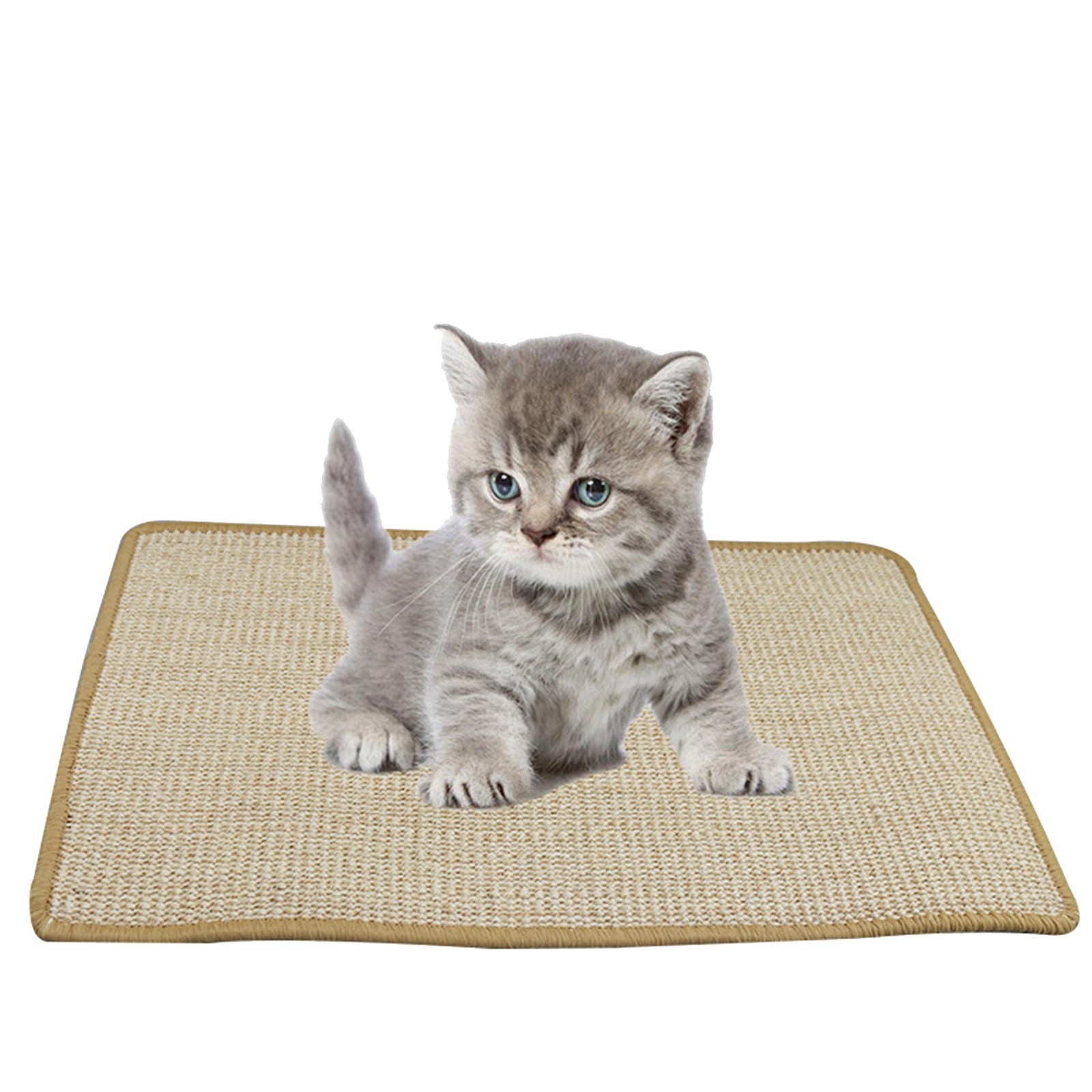 Small Dogs Accessories Accessories for Poodles Bike Rack For Dogs Dog