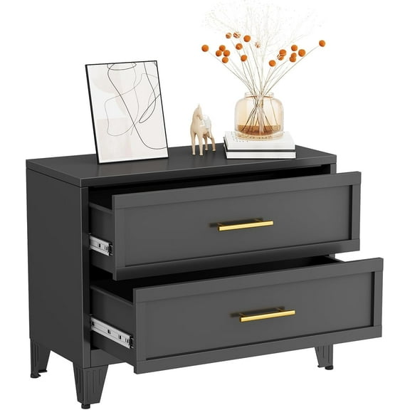 Small Dresser for Bedroom, Metal Chest of Drawers, 2 Dressers & Chests of Drawers, Storage Cabinet for Nightstand, Living Room, Hallway, Entryway, Home Office (Black)