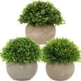 thumbnail image 1 of Small Fake Plants Faux Potted Plant Mini Artificial Plants for for Home Table Office Room Desk Bathroom Shelf Kitchen Farmhouse Mantel Decoration A, 1 of 5