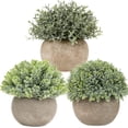 thumbnail image 1 of Small Fake Plants Faux Potted Plant Mini Artificial Plants for for Home Table Office Room Desk Bathroom Shelf Kitchen Farmhouse Mantel Decoration, 1 of 5