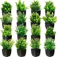 thumbnail image 1 of Small Fake Plants Mini Artificial Potted Plants Indoor Plastic Artificial Plants Aesthetic Eucalyptus Greenery Decor for Office Shelves Living Room Bathroom Bedroom (Fresh Style, 10 Packs), 1 of 5