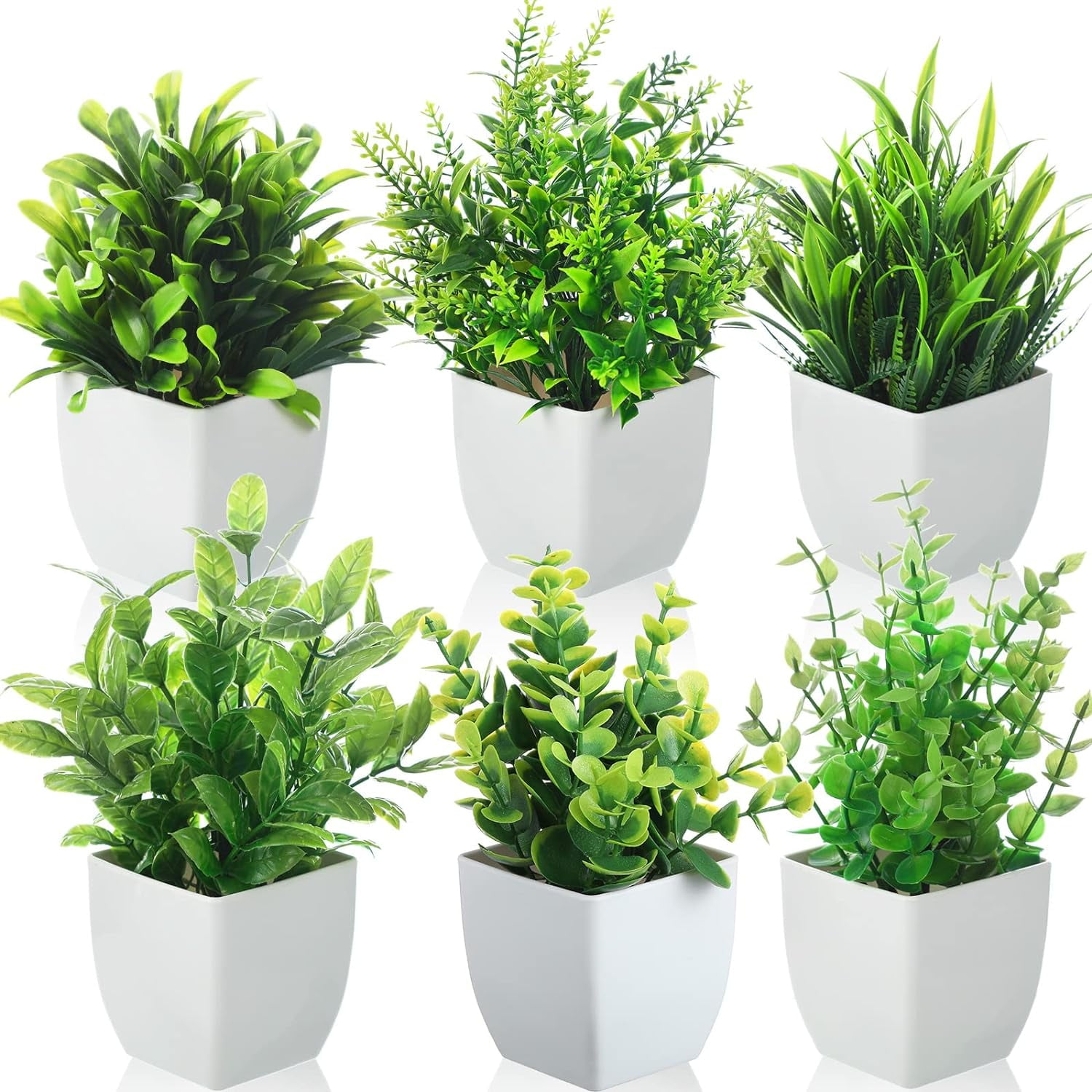 bloom food for plants ⭐ Beyond Bloom™ Plant Food Concentrate main image 1