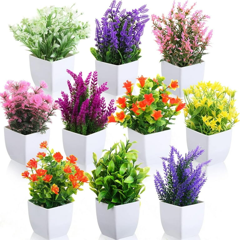 Mini Artificial Succulent Plant Fake Foliage Plastic Container Garden Home Decor Mini Artificial Succulent Plant Fake Foliage Plastic Container Garden Home Decor