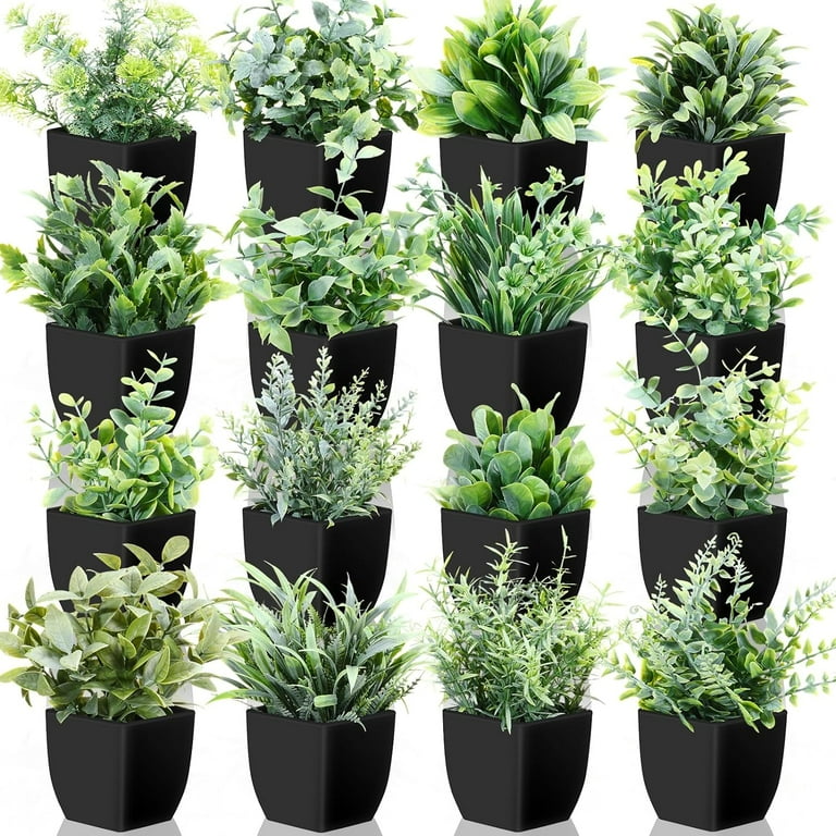 Five Gerber's with Greenery Five Gerber's with Greenery