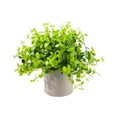 thumbnail image 1 of Small Fake Plants Potted, Simulated Succulents Plants Potted, for Home Kitchen Desktop Wedding Office Windowsills Decor, 1 of 6