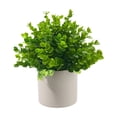thumbnail image 1 of Small Fake Plants Potted, Simulated Succulents Plants Potted, for Home Kitchen Desktop Wedding Office Windowsills Decor, 1 of 6