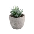 thumbnail image 1 of Small Fake Plants Realistic Lifelike Artificial Potted Succulents, Mini Durable Plastic 2.7x2.6x2.6 in with Pot Faux Plants for Home Office, Kitchen, and Indoor Table Decor, 1 of 6