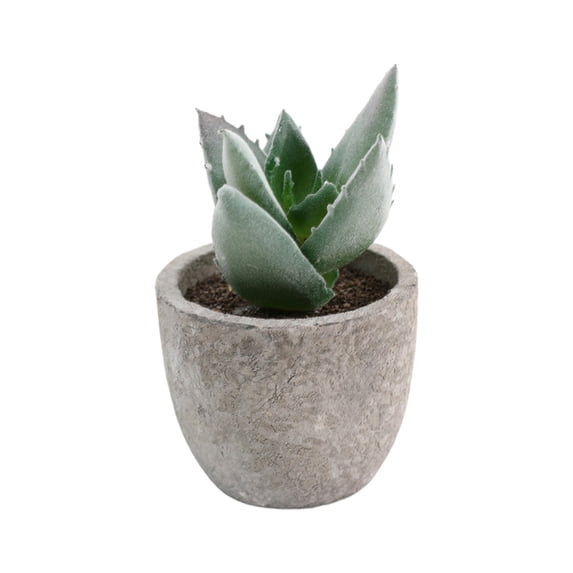 Small Fake Plants Realistic Lifelike Artificial Potted Succulents, Mini Durable Plastic 2.7x2.6x2.6 in with Pot Faux Plants for Home Office, Kitchen, and Indoor Table Decor