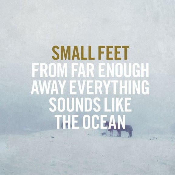 Small Feet - From Far Enough Away Everything Sounds Like - Music & Performance - CD