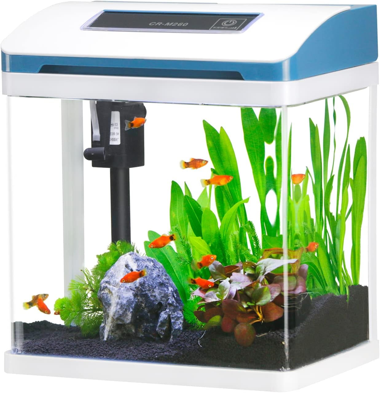 Small Fish Tank 2 Gallon Glass Aquarium Starter Kits, Desktop Betta Fish Tank Beta Fish Aquariums with Filter and Light for Betta Shrimp Guppy Jellyfish Goldfish Beta, Room Desktop Decor, Gifts