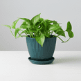 thumbnail image 1 of Small Flowerpot Vertical Pattern Thickened Non Ceramic Plant Container with Drainage Holes for Balcony Garden Decor 6x5 In Dark Green, 1 of 6