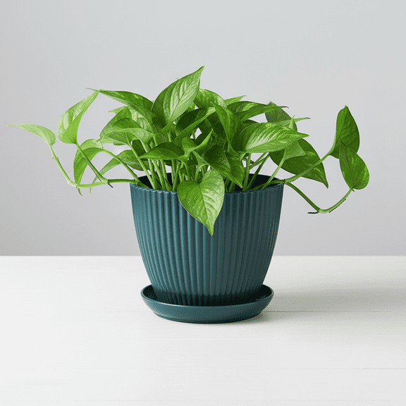 Small Flowerpot Vertical Pattern Thickened Non Ceramic Plant Container with Drainage Holes for Balcony Garden Decor 6x5 In Dark Green