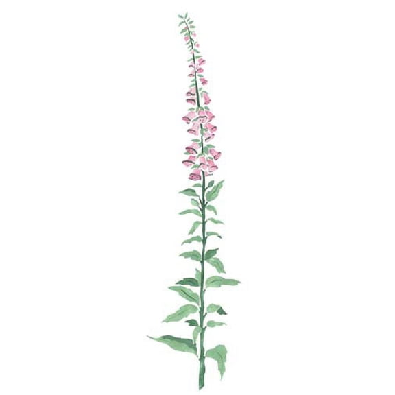 Small Foxglove Flower Wall Stencil 2747R by Designer Stencils