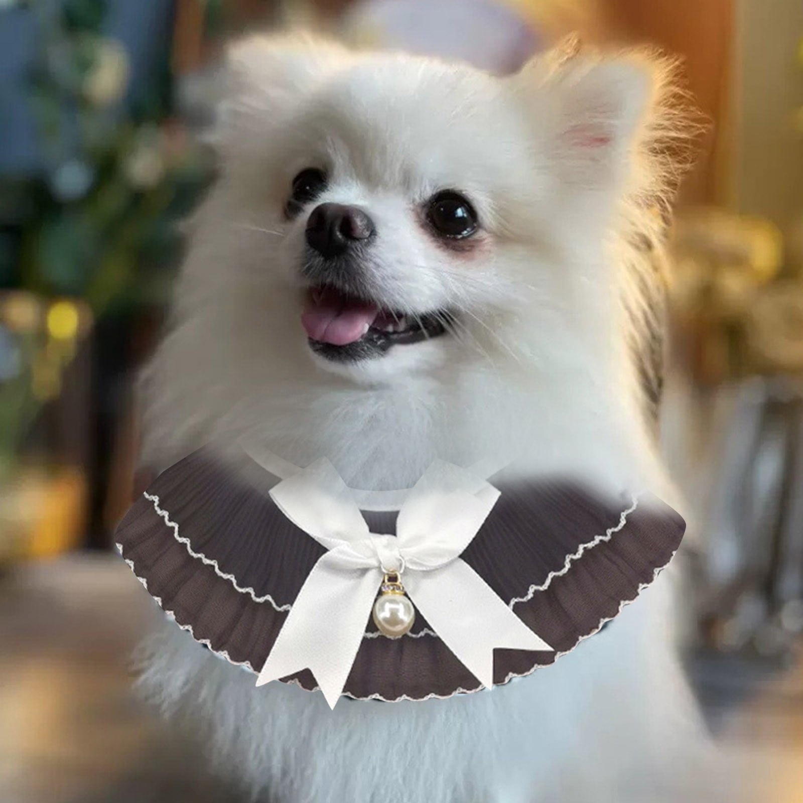 Small Fragrant Lace Bib Pet Towel Cat And Dog Bib Bib Cloth Dog Color Custom Dog Custom Dog