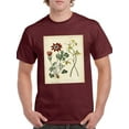 thumbnail image 1 of Small Garden Display Ii T-Shirt Men -Sydenham Edwards Designs, Male 4X-Large, 1 of 4
