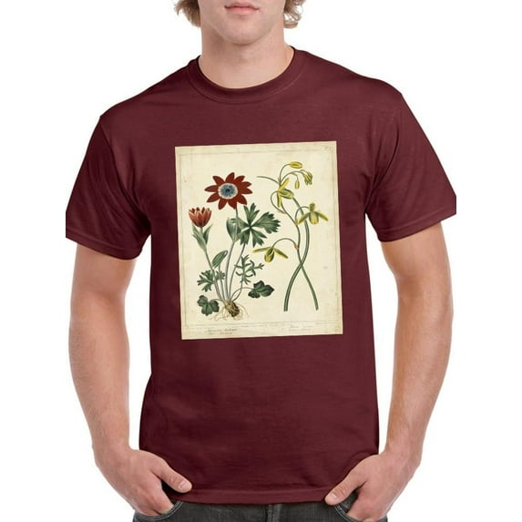 Small Garden Display Ii T-Shirt Men -Sydenham Edwards Designs, Male 4X-Large