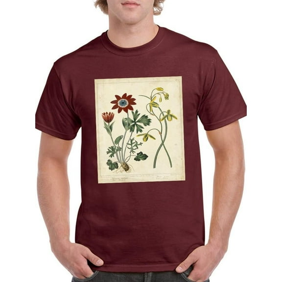 Small Garden Display Ii T-Shirt Men -Sydenham Edwards Designs, Male 4X-Large