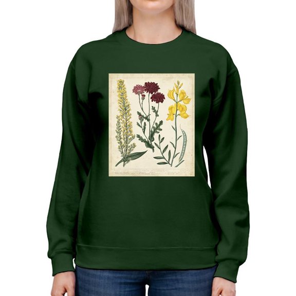Small Garden Display Iii Sweatshirt Women -Sydenham Edwards Designs, Female 3X-Large