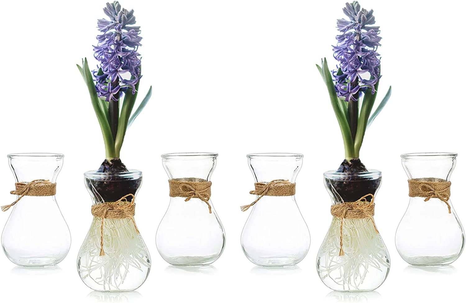 Small Glass Vases for Centerpieces 6pcs Clear Mini Hyacinth Avocado