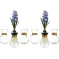 Small Glass Vases for Centerpieces 6pcs Clear Mini Hyacinth Avocado Growing Bud Vase Bulk