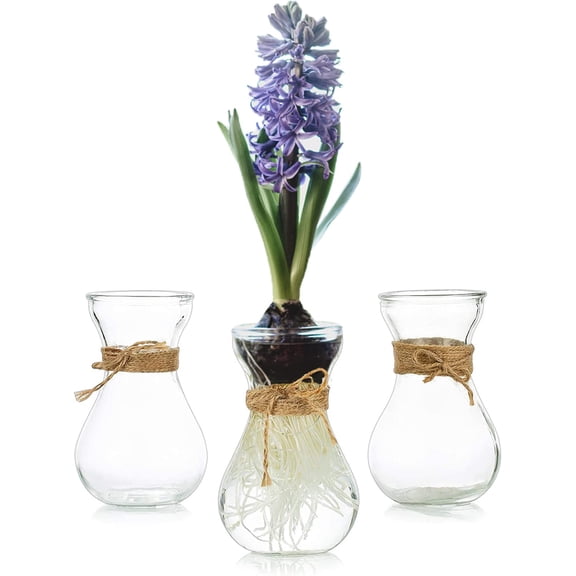 Small Glass Vases for Centerpieces - Hewory 3pcs Clear Mini Hyacinth Avocado Growing Bud Vase Bulk, Cute Tiny Flower Bulb Forcing Plant Containers Set for Wedding Home Living Room Table Decorations