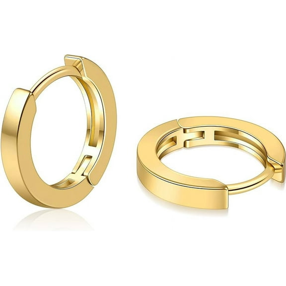 Small Gold Hoop Earrings for Women 14K Gold Plated Huggie Hoop Earrings