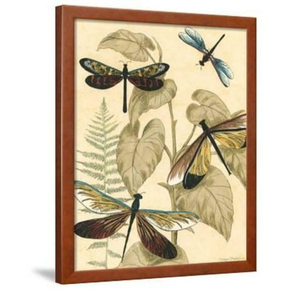 Small Graphic Dragonflies II, Animals Framed Art Print Wall Art by Megan Meagher Sold by Art.Com