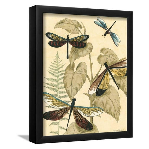 Small Graphic Dragonflies II, Animals Framed Art Print Wall Art by Megan Meagher Sold by Art.Com