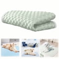 thumbnail image 1 of Small Green Washable Dog Cooling Pad, Breathable Non-Slip Pet Cooling Mat for Dogs Cats, Portable Summer Cool Mat Indoor Outdoor, 1 of 7