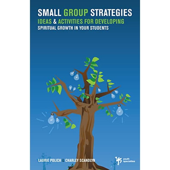 Pre-Owned Small Group Strategies : Ideas & Activities for Developing Spiritual Growth in Your Students (Paperback) 9780310258018
