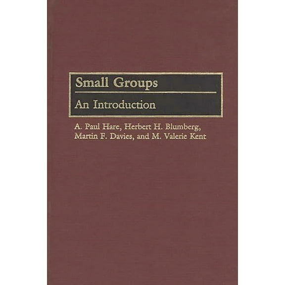 Small Groups: An Introduction, (Hardcover)